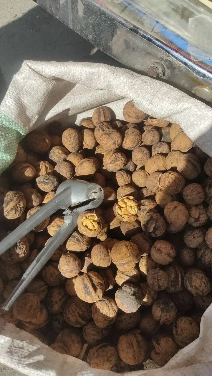 گردوروغنی|خوردنی و آشامیدنی|محمدشهر, محمدشهر|دیوار