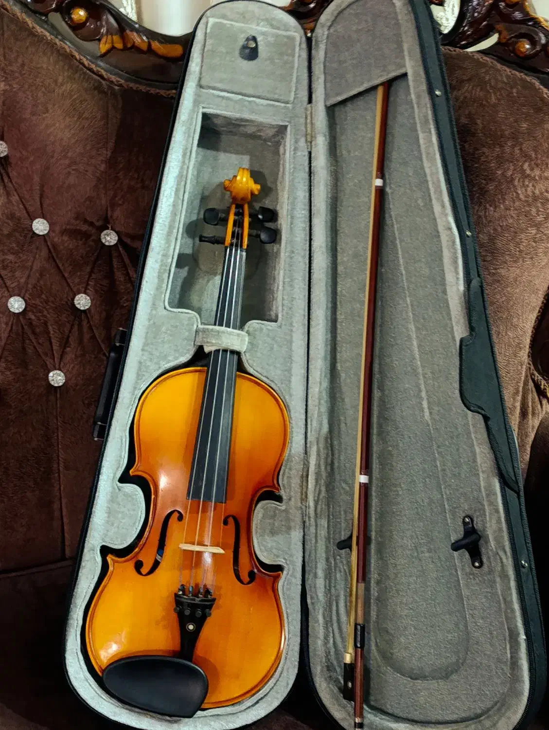 ویولون tf142|ویولن|قم, شهدا|دیوار