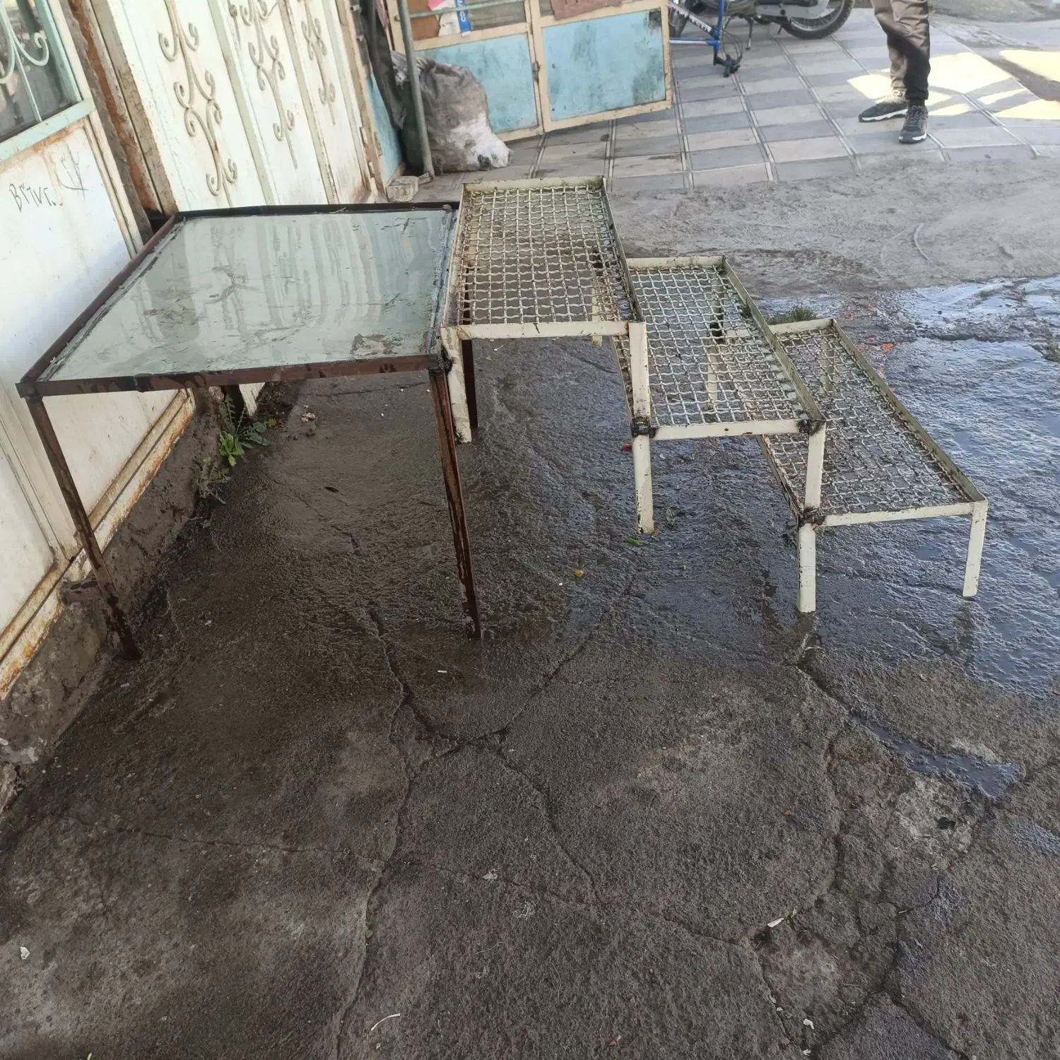 میز میوه فروشی|فروشگاه و مغازه|نیشابور, سرآب کوشک|دیوار