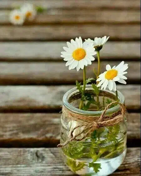 استخدام پزشک زیبایی مجرب|استخدام درمانی، زیبایی، بهداشتی|قزوین, |دیوار