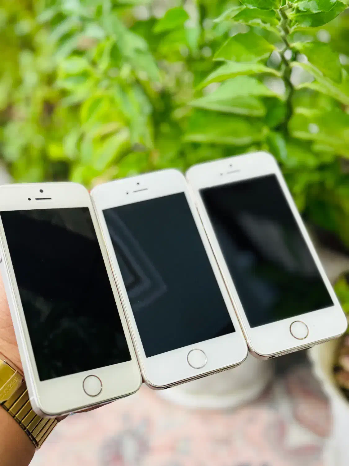 ایفون ۵s|موبایل|بانه, |دیوار