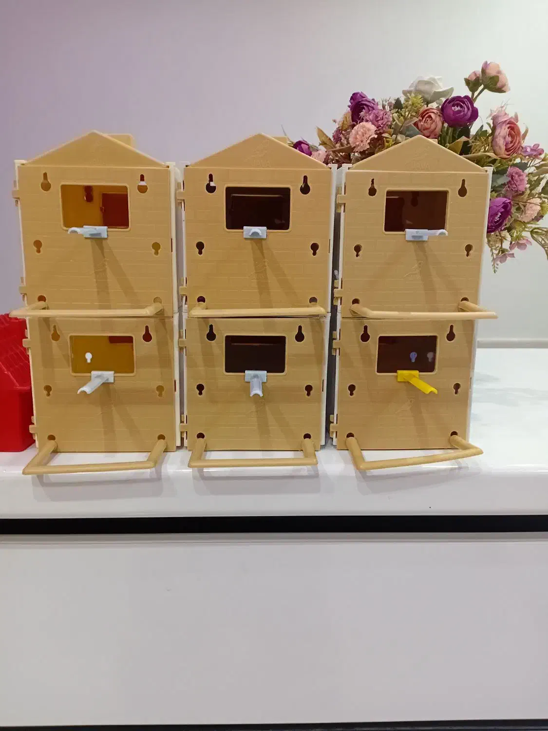 معاوضه لانه فنچ با لانه مرغ عشق|لوازم جانبی حیوانات|فیروزآباد (فارس), |دیوار