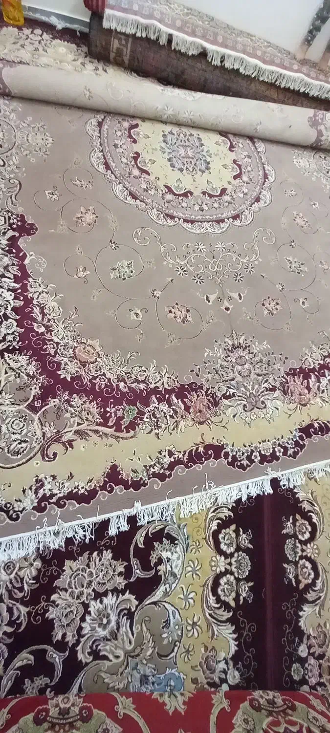 فرش ۱۲ متری گردویی ۵۰۰ شانه|فرش|سامن, |دیوار