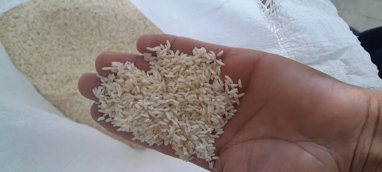 فروش برنج کاظمی ۲۵۵|خوردنی و آشامیدنی|دورود, |دیوار