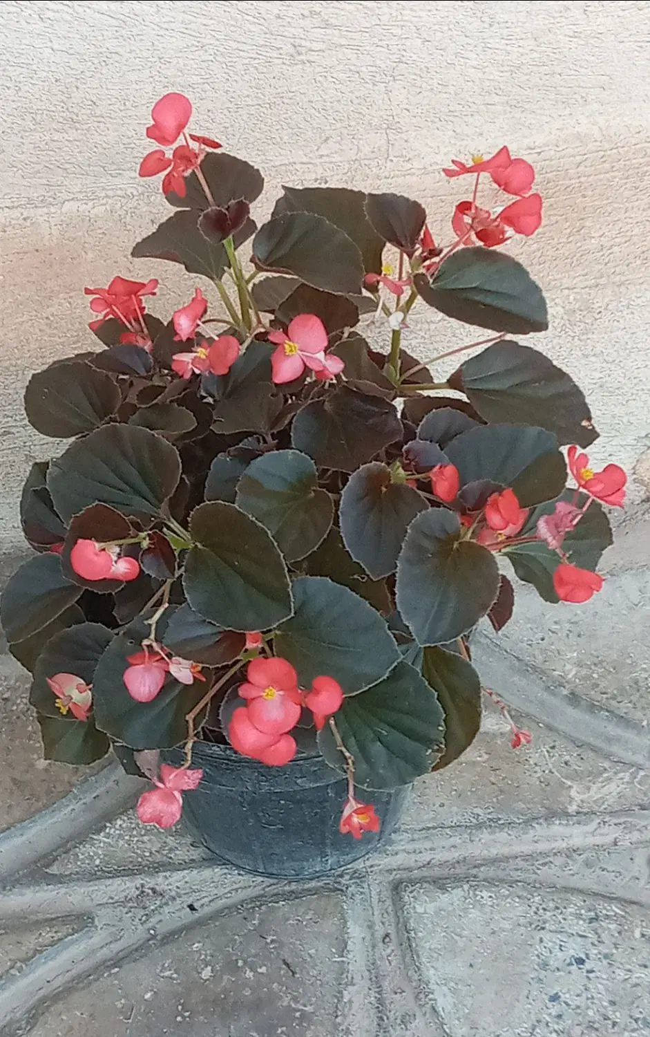 لباس|لباس|آبدانان, |دیوار