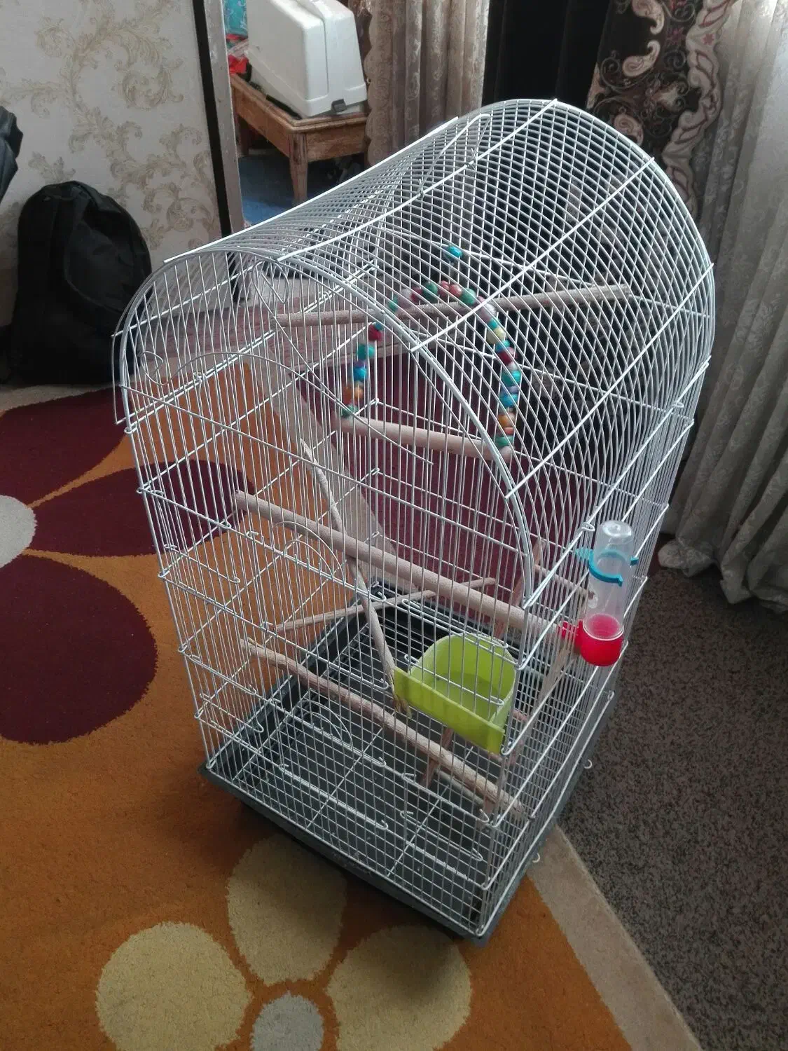 قفس زینتی بزرگ با وسایل کامل توضیحات بخونید|لوازم جانبی حیوانات|فولادشهر, A2|دیوار