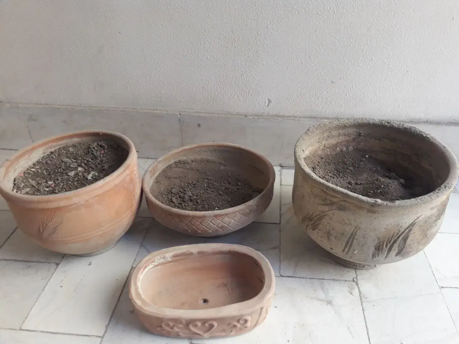 گلدان سفالی|گل و گیاه طبیعی|تهران, منیریه|دیوار