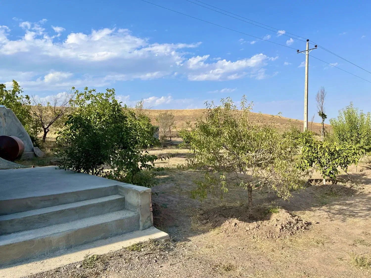 فروش باغی در چاوقون|فروش خانه و ویلا|شوط, |دیوار