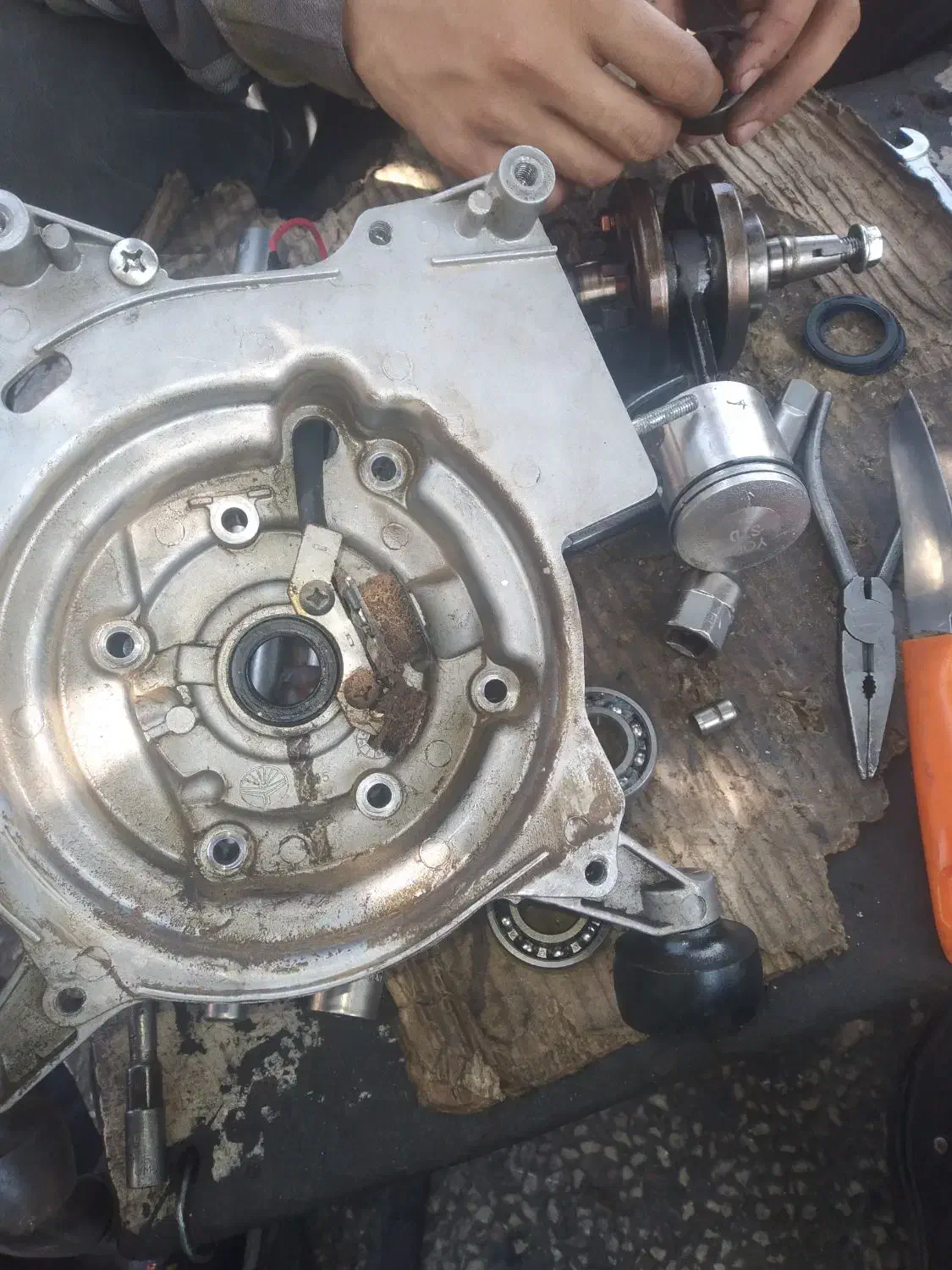 تعمیر گاه تخصصی موتور .برق اره .و سمپاشها|ماشینآلات صنعتی|شیراز, بالا کفت|دیوار