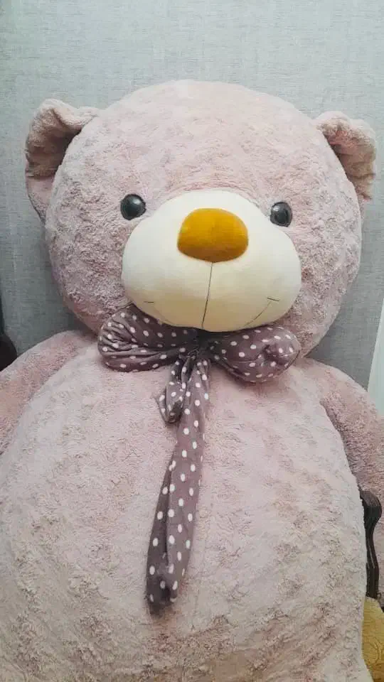 عروسک بزرگ|اسباب‌‌بازی|سنندج, |دیوار