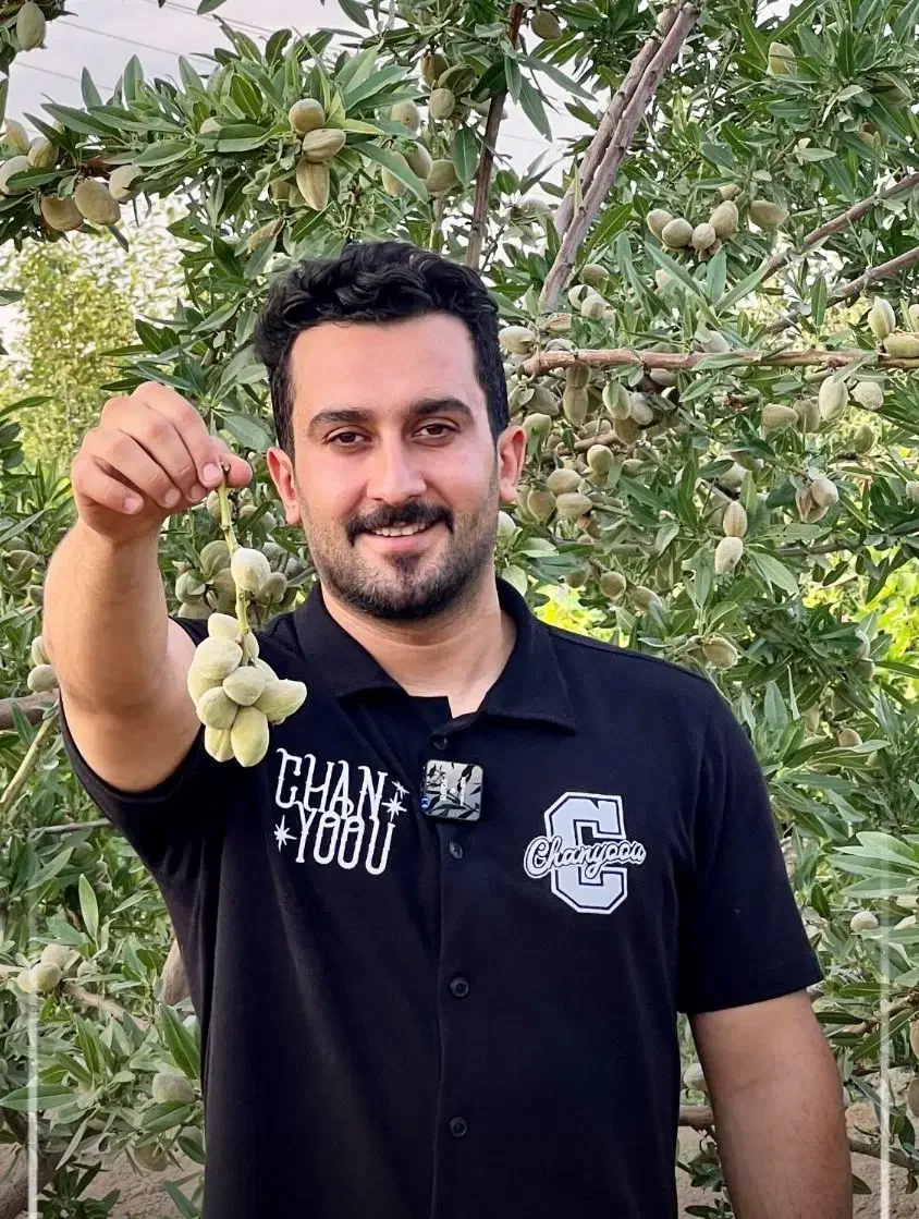 بادام تونو|خدمات باغبانی و درختکاری|خانمیرزا, |دیوار