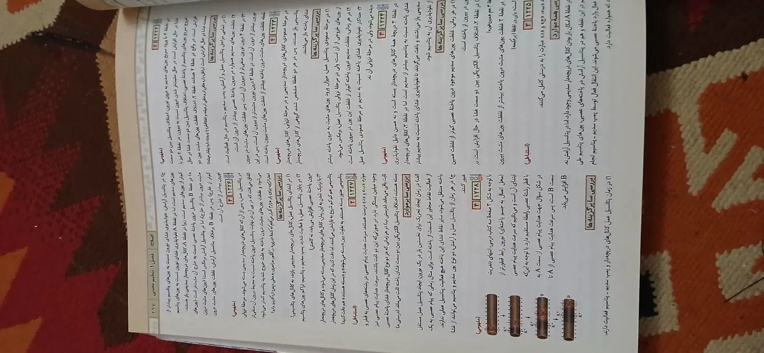 کتاب کنکور تجربی|کتاب و مجله آموزشی|مشهد, چهنو|دیوار