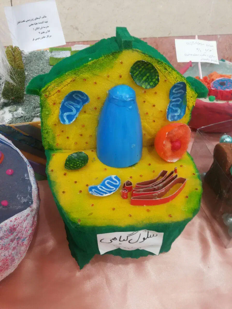 تدریس درس علوم و زیست|خدمات آموزشی|باغستان, |دیوار