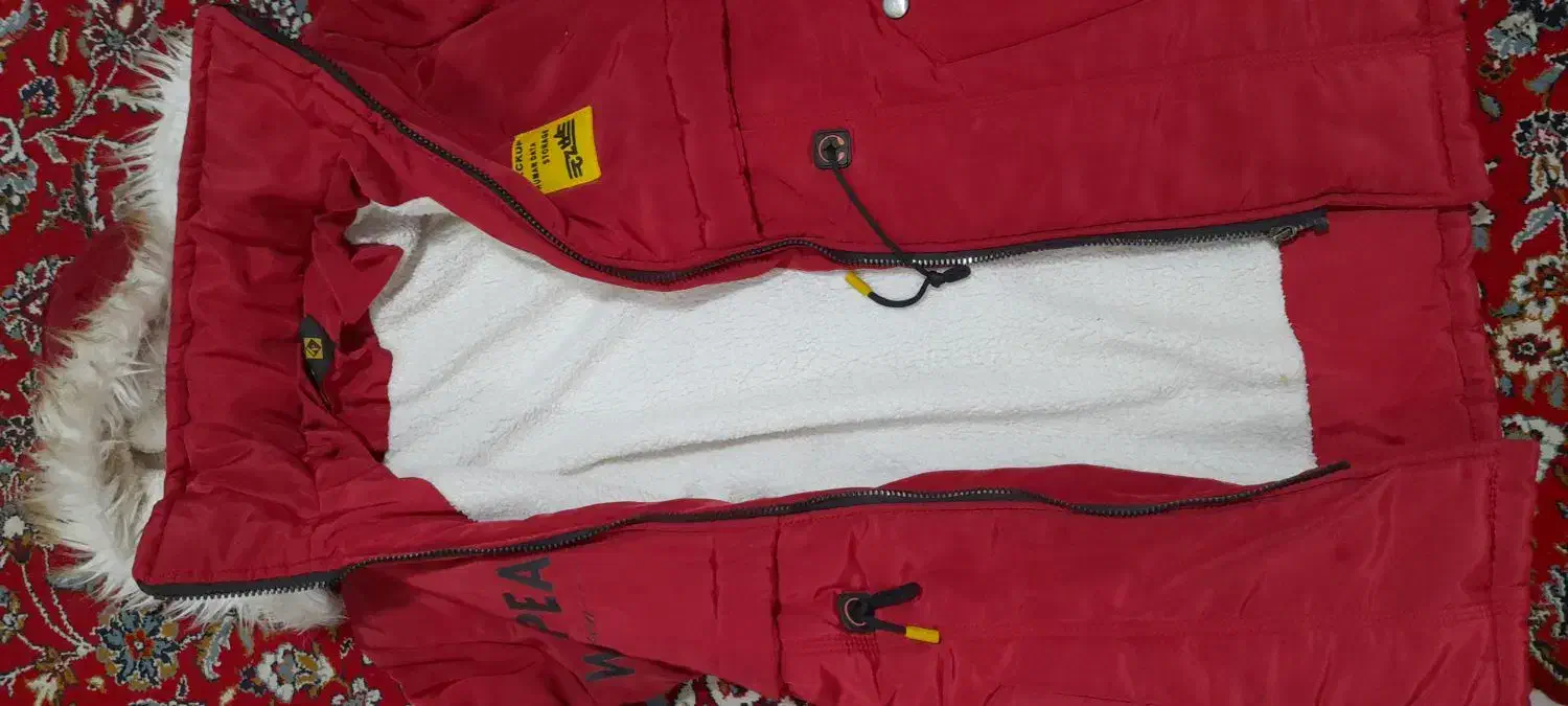 کاپشن دخترانه|لباس|رشت, گیل|دیوار