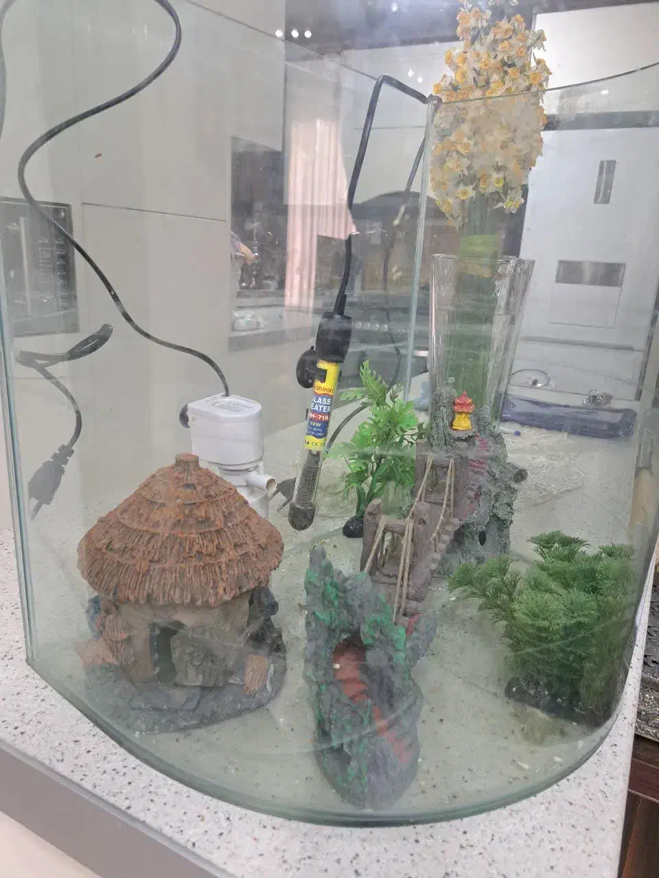 آکواریوم|ماهی|گرمدره, |دیوار