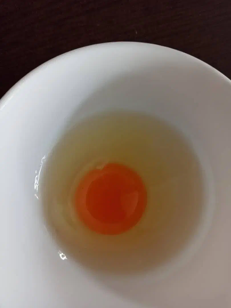 رسمی|خوردنی و آشامیدنی|مشهد, حرم مطهر رضوی|دیوار