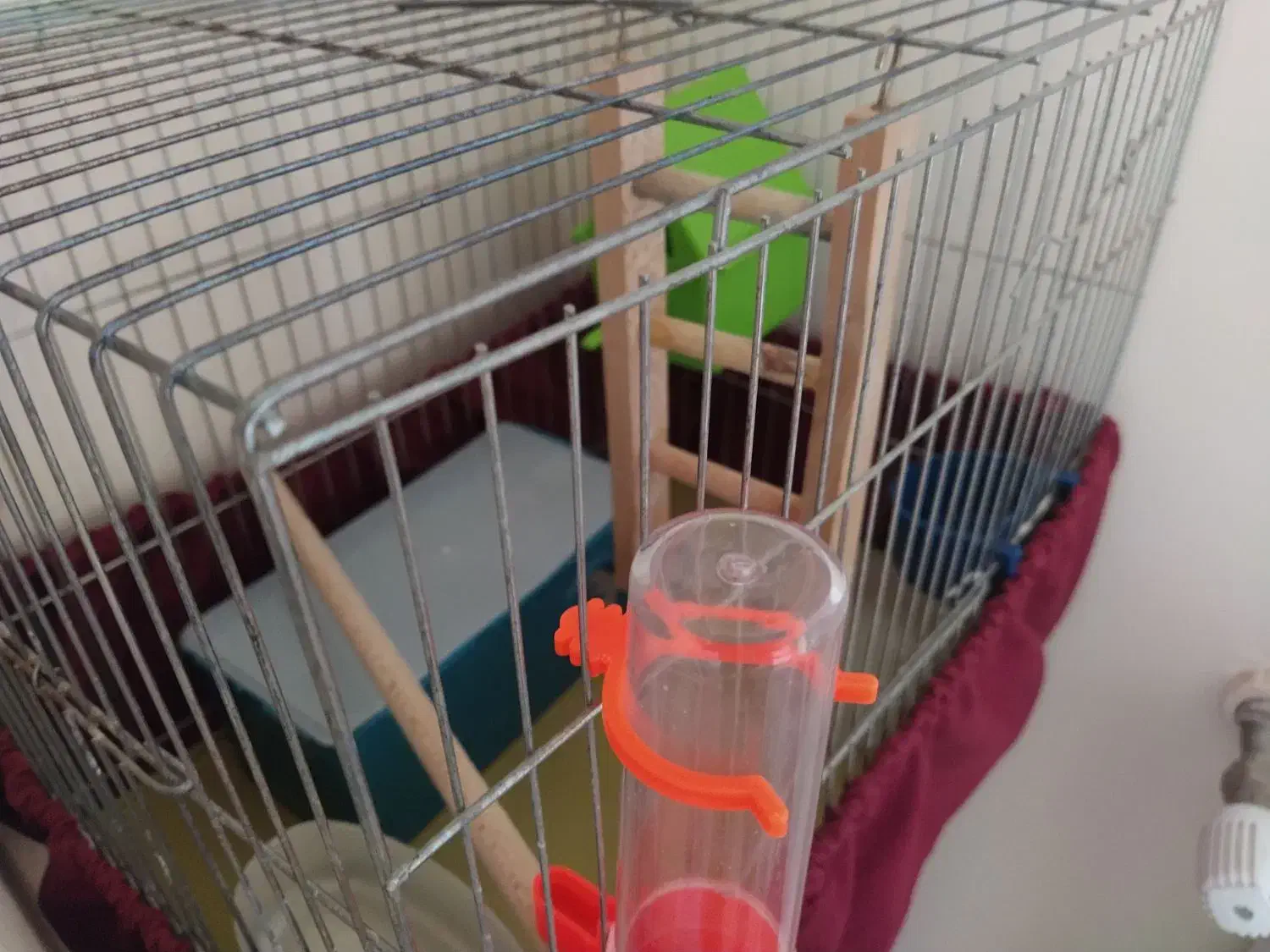 قفس پرنده|لوازم جانبی حیوانات|شاهین‌شهر, گرگاب|دیوار