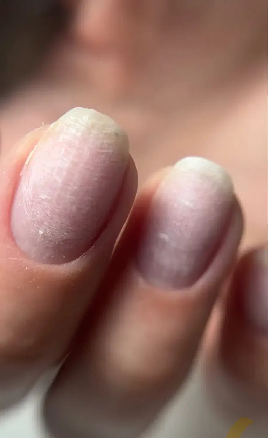 تخفیف ویژه کاشت و آموزش ناخن|خدمات آرایشگری و زیبایی|قزوین, |دیوار