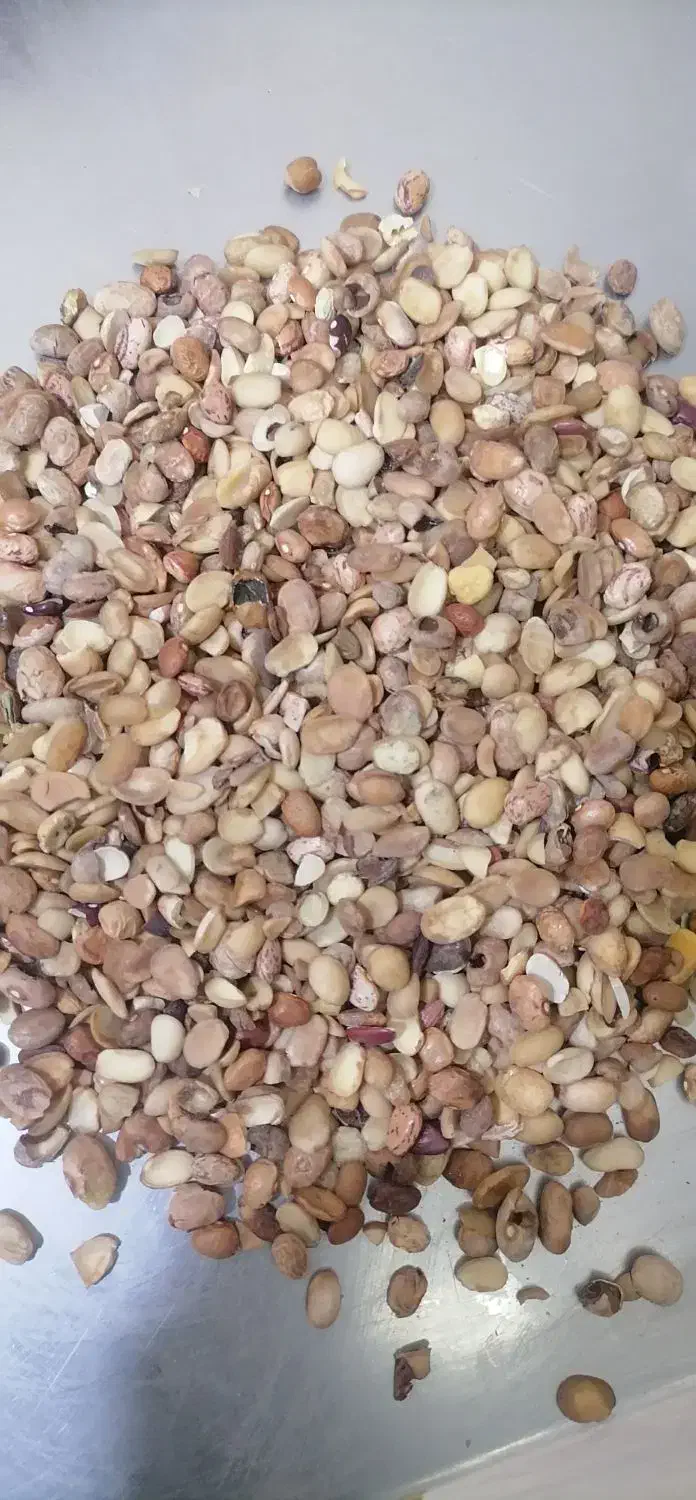 لوبیا چیتی شکسته|خوردنی و آشامیدنی|قم, حاج زینل|دیوار