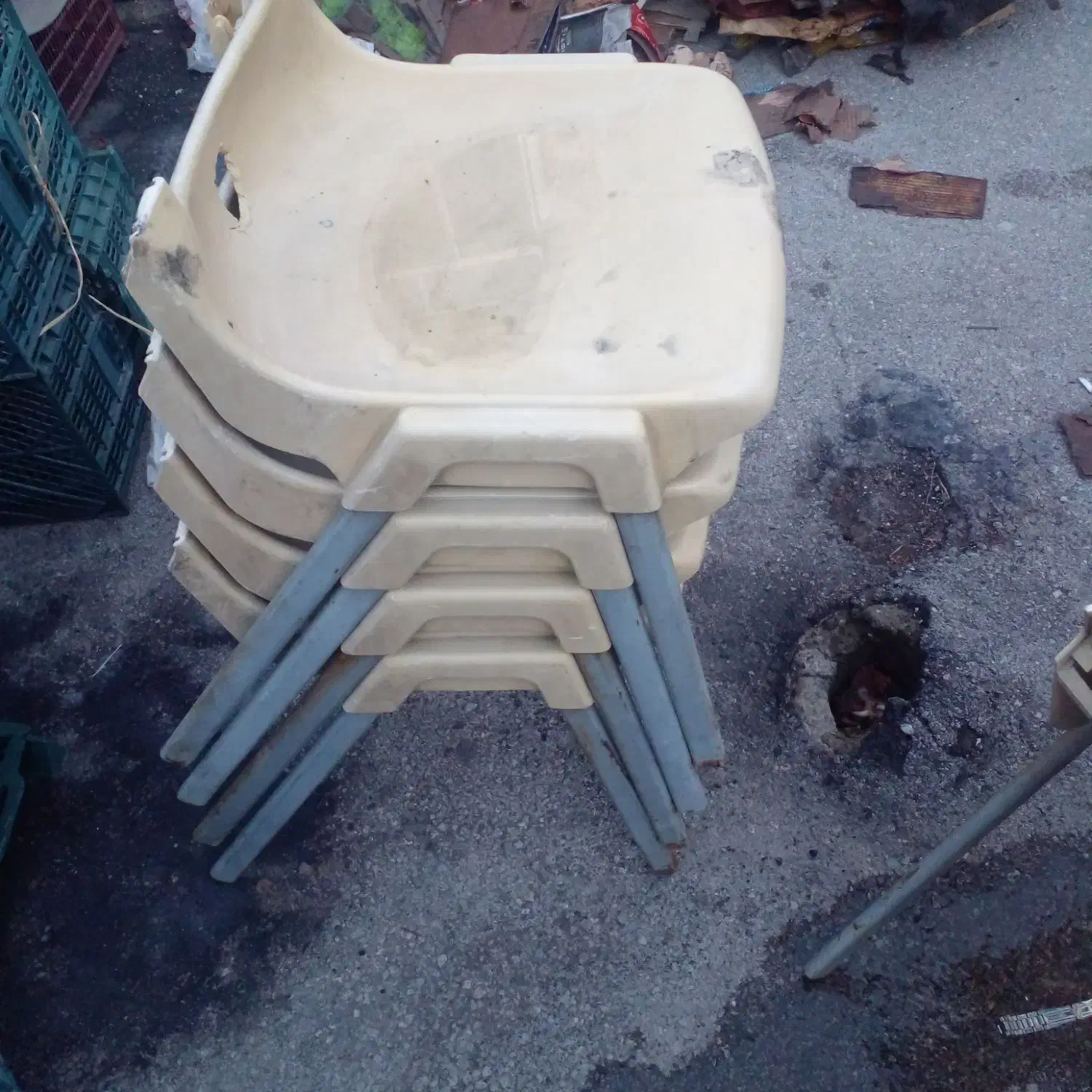 صندلی|میز و صندلی غذاخوری|نوشین شهر, |دیوار