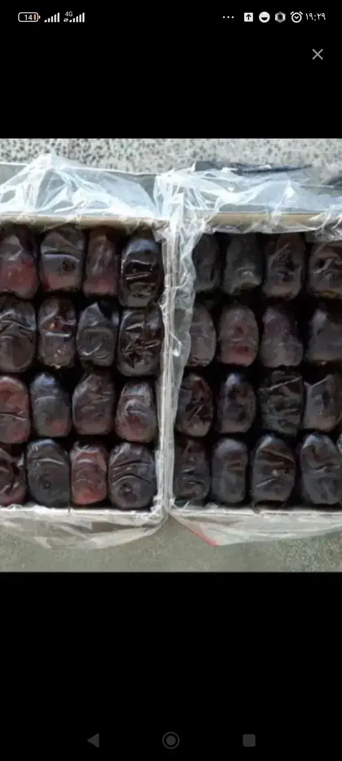 5تن خرما کیلویی ۳۵۰|عمدهفروشی|ریگان, |دیوار