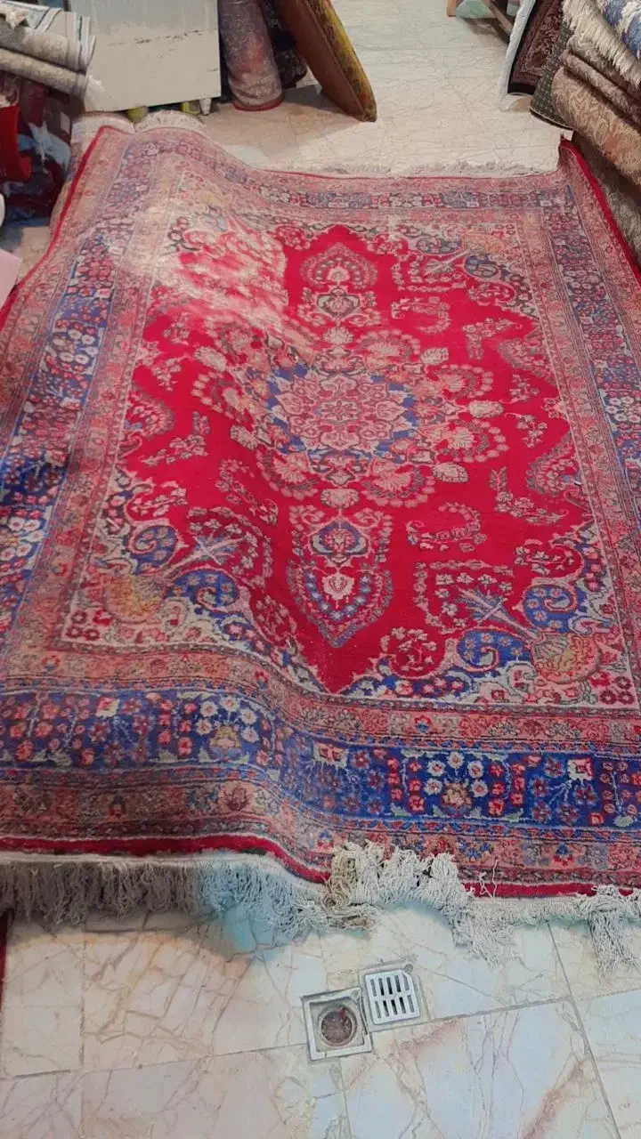 دوتا6 متری جفت دو عدد ۱۲متری|فرش|مشهد, شهرک شیرین|دیوار