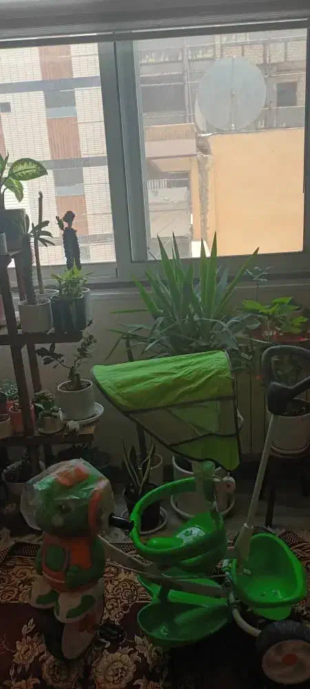 سه چرخه فیلی|دوچرخه، اسکیت، اسکوتر|اصفهان, رزمندگان|دیوار