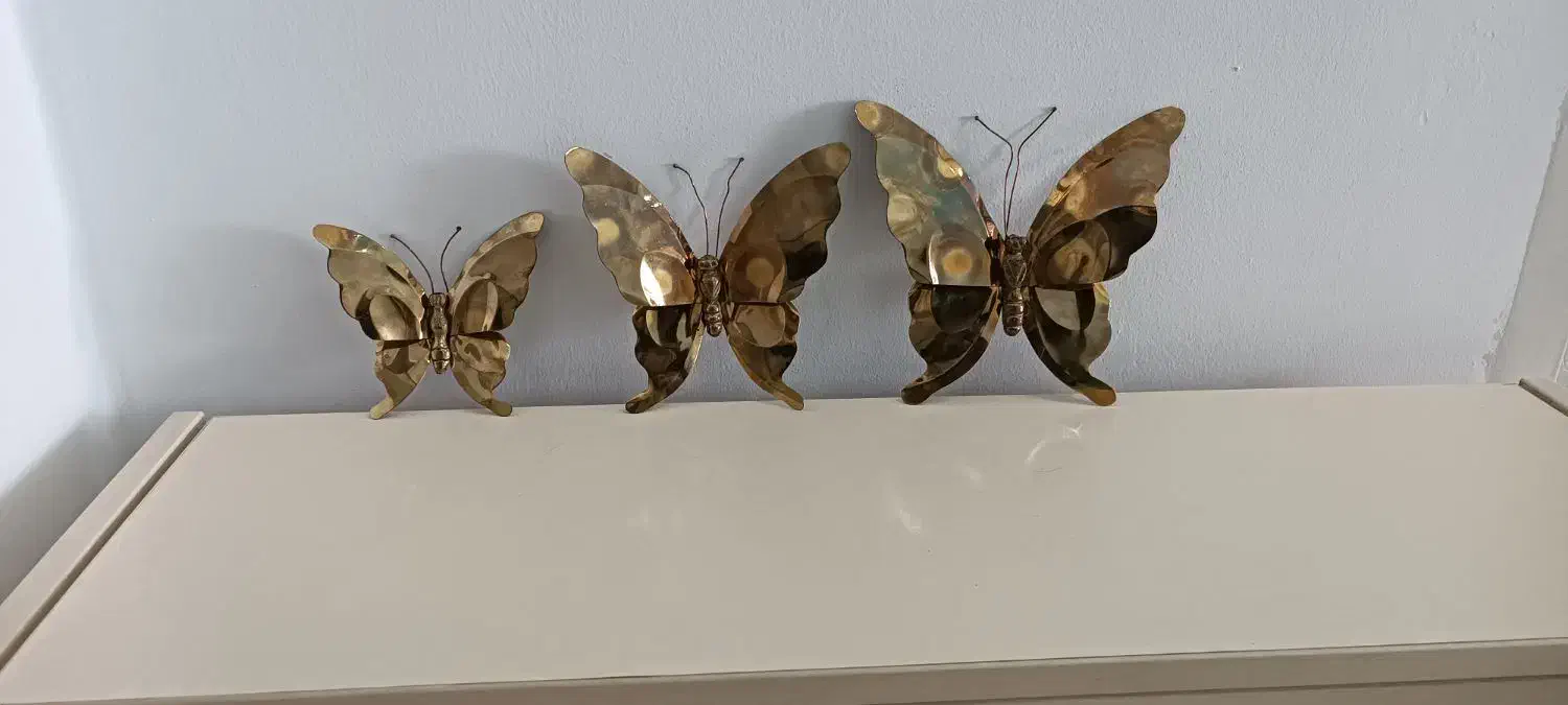 پروانه برنز اصل تضمینی|صنایع دستی و سایر لوازم تزئینی|فردیس, شهرک ارم|دیوار