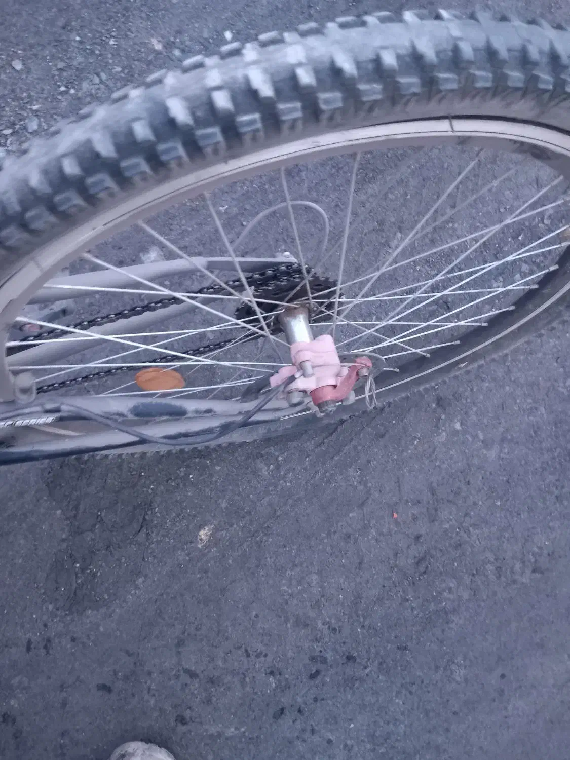 دوچرخه ۲۴|دوچرخه، اسکیت، اسکوتر|بیجار, |دیوار