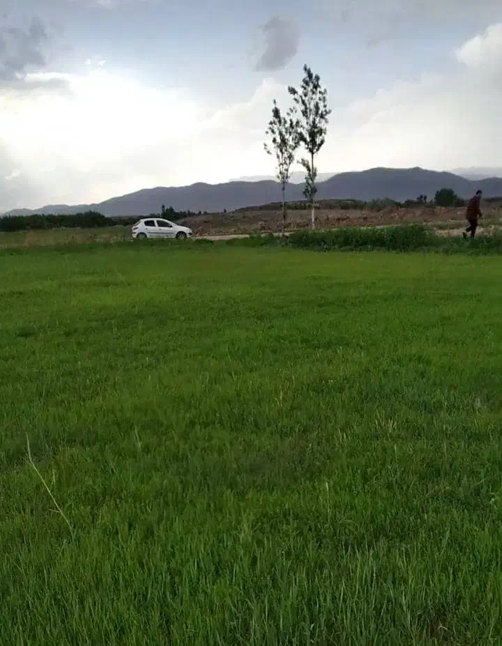 فروش زمین کشاورزی مناسب برای باغ جاده پلدشت|فروش دفتر صنعتی، کشاورزی، تجاری|ماکو, |دیوار