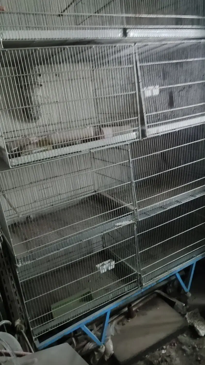 قفس وتخت خواب|لوازم جانبی حیوانات|بندر ماهشهر, |دیوار