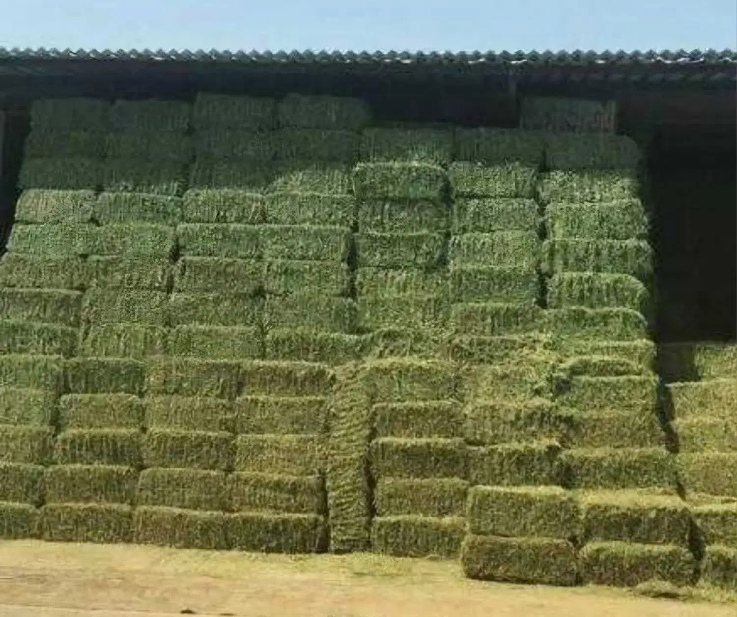 پرس یونجه|لوازم جانبی حیوانات|زنده رود, |دیوار