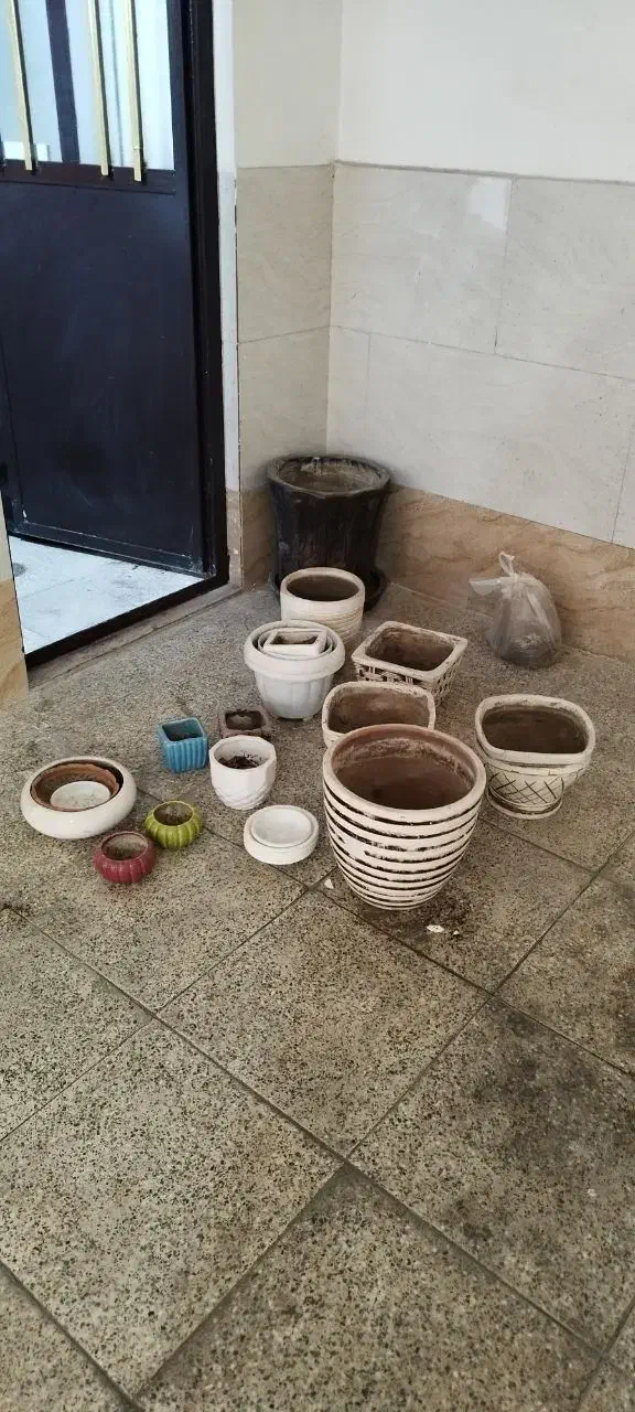 گلدان سفالی و پلاستیکی|گل و گیاه طبیعی|رباط‌کریم, رباط‌کریم|دیوار