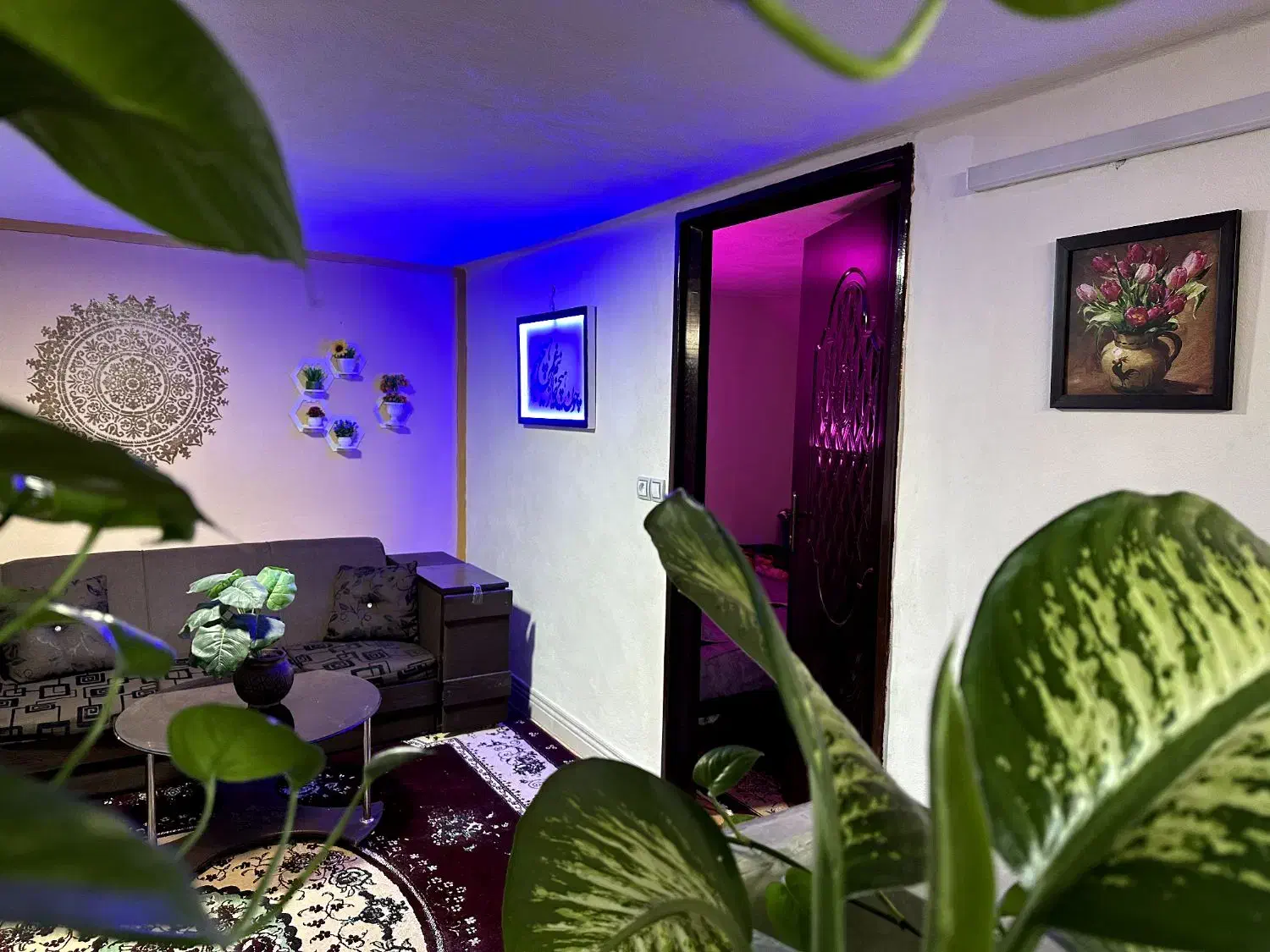 اجاره سوئیت مبله با تمامی امکانات|اجارهٔ کوتاه‌مدت آپارتمان و سوئیت|جهرم, |دیوار