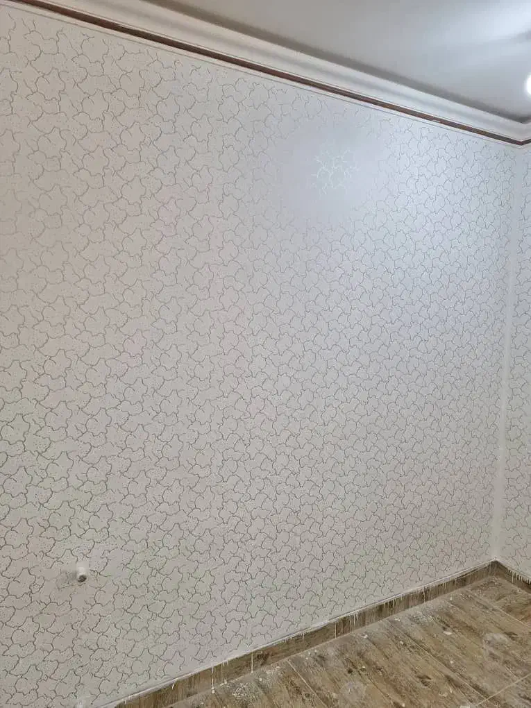 نقاشی ساختمان به سبک امروز|خدمات پیشه و مهارت|صومعه‌سرا, |دیوار