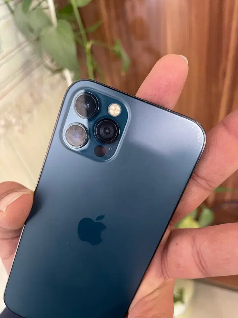 آیفون 12pro 256G|موبایل|یزد, |دیوار