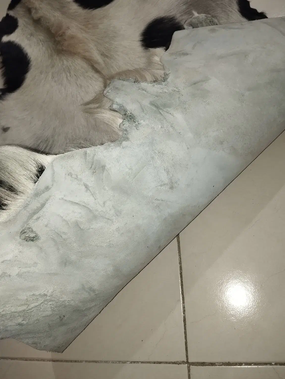 تابلو|تابلو، نقاشی، عکس|خمین, |دیوار