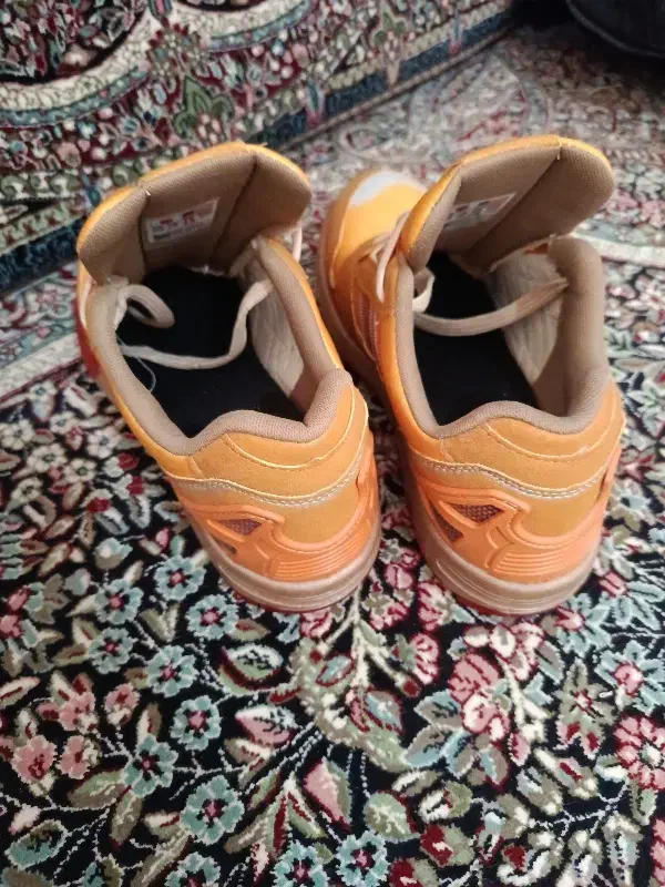 کتونی نو|کیف، کفش، کمربند|پاکدشت, پاکدشت (مامازند)|دیوار