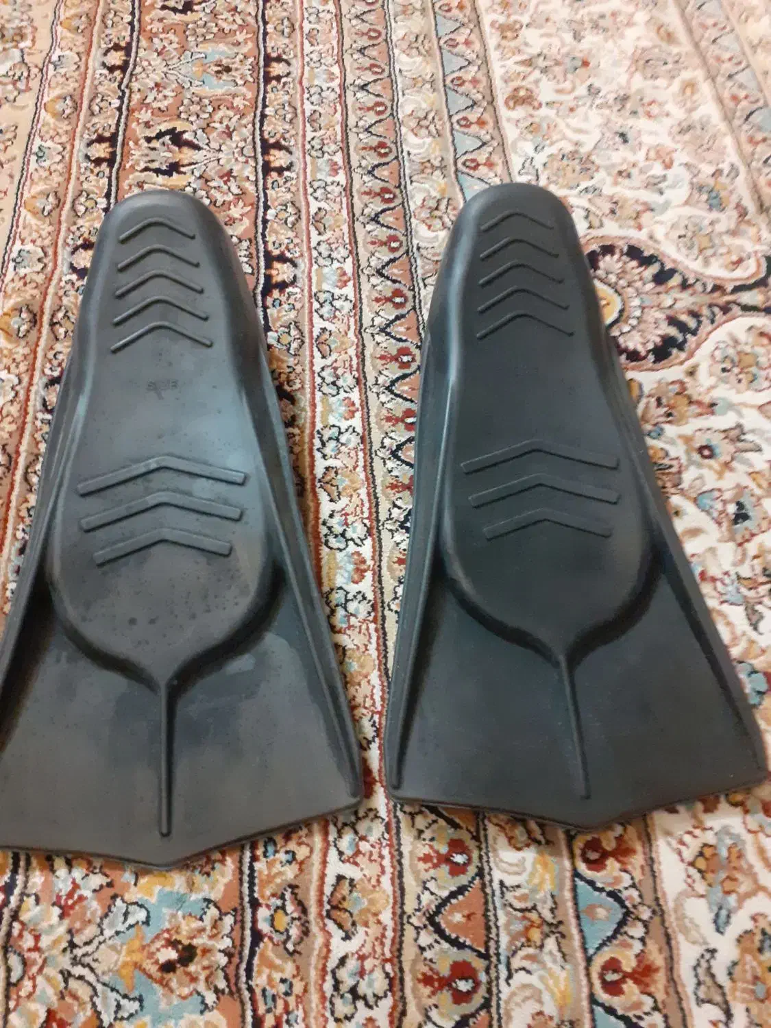 فین شنا|غواصی و ورزشهای آبی|ری, سیزده آبان|دیوار