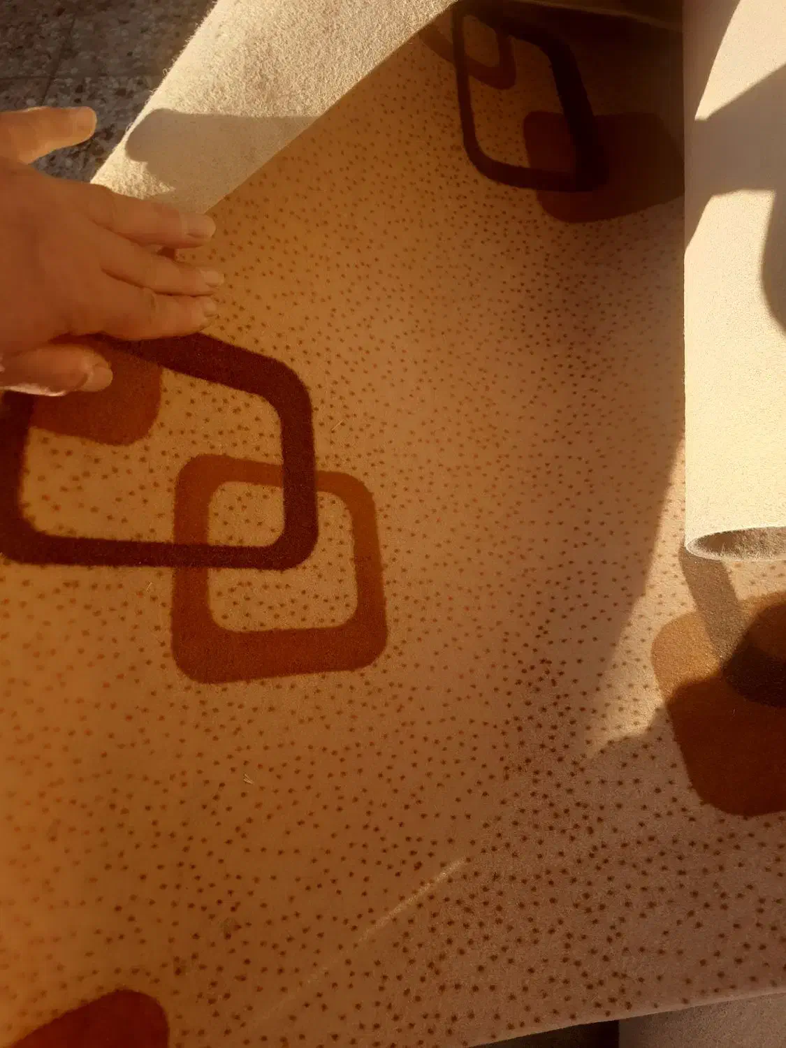 پالاز موکت سالم|موکت|نجفآباد, گلدشت|دیوار