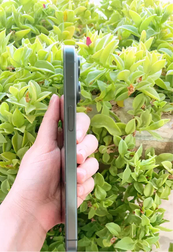 اپل iPhone 15 Pro Max با حافظهٔ ۲۵۶ گیگابایت|موبایل|شیراز, بعثت|دیوار