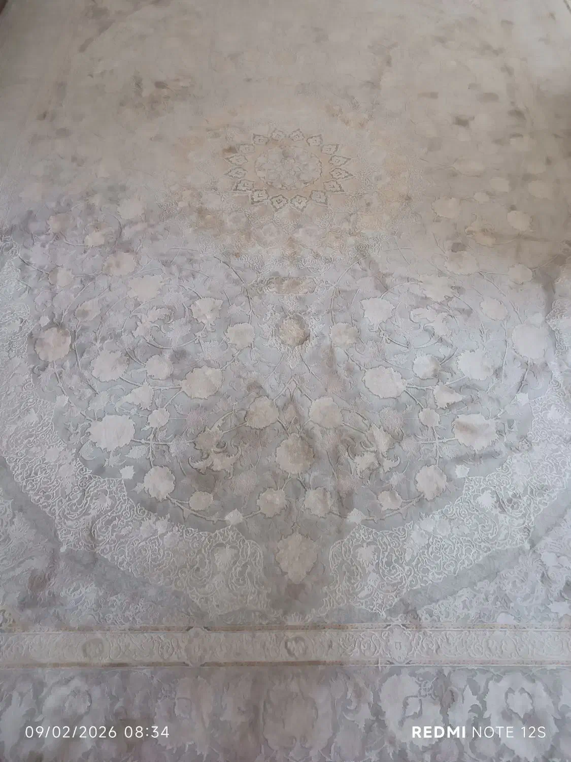 فرش|فرش|فردیس, فردیس|دیوار