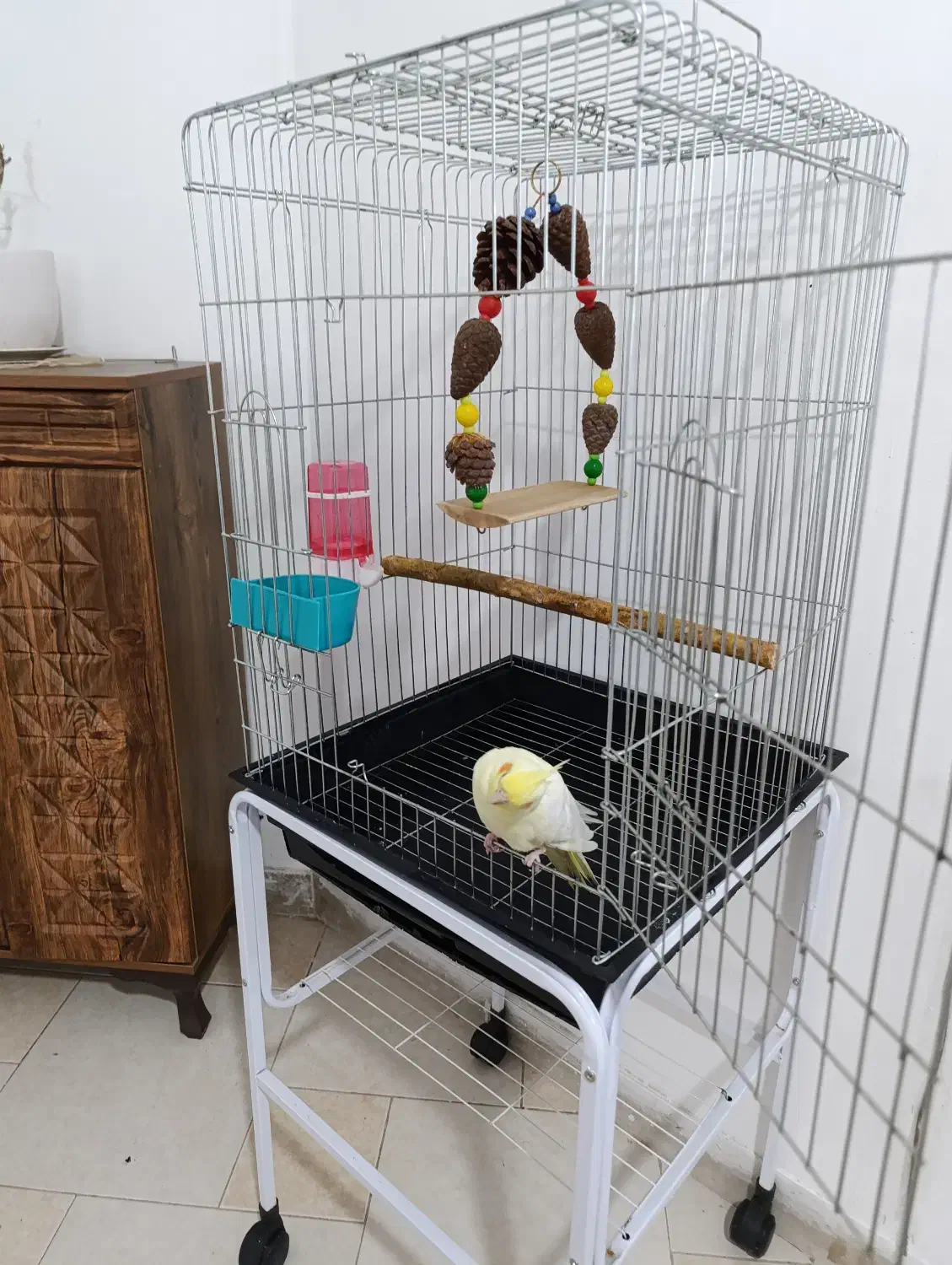 پرنده|پرنده|هشتگرد, هشتگرد قدیم|دیوار