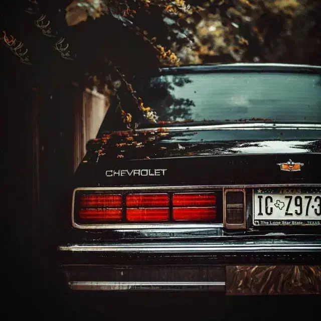 دزدگیر تصویری مجیکار|قطعات یدکی و لوازم جانبی|همدان, |دیوار