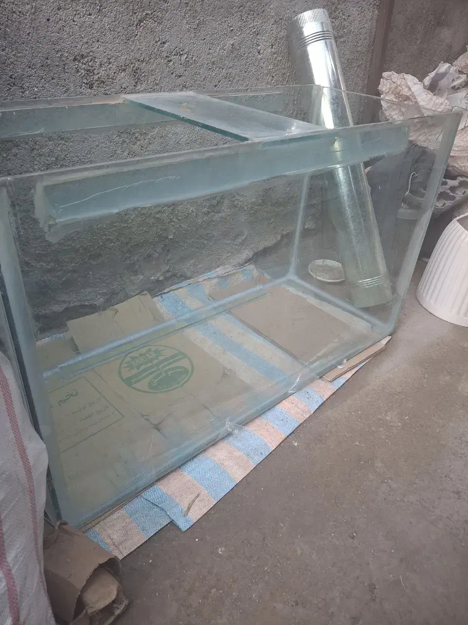 آکواریوم|ماهی|اردبیل, |دیوار