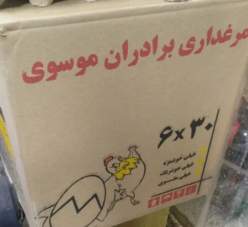 پخش تخم مرغ|خوردنی و آشامیدنی|تهران, جی|دیوار