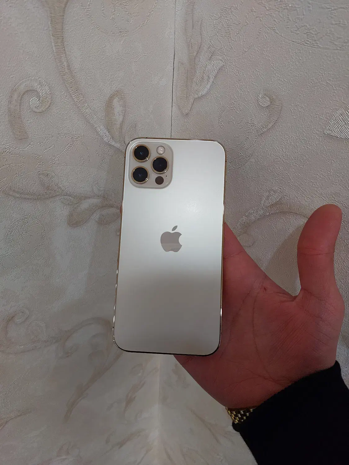 12 پرو گلد ۲۵۶گیگ|موبایل|صفادشت, |دیوار