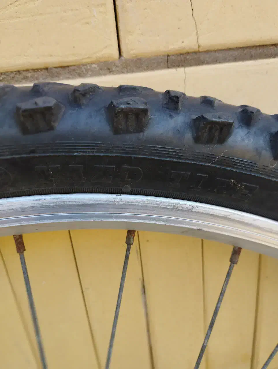 لاستیک + رینگ دوچرخه|دوچرخه، اسکیت، اسکوتر|سمنان, |دیوار