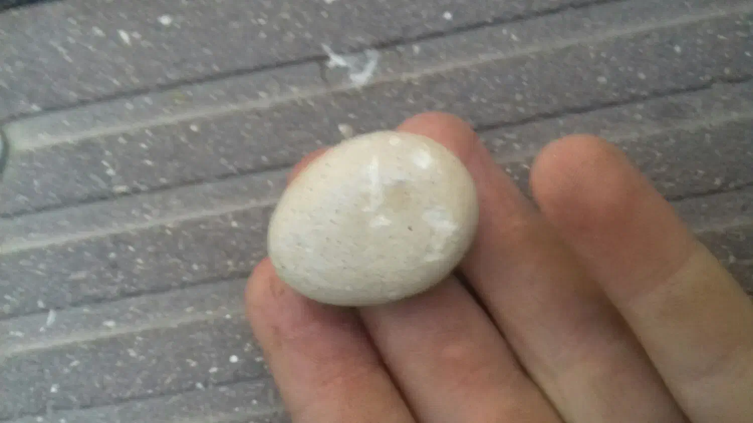 سنگ قیمتی|جواهرات|قم, پردیسان|دیوار