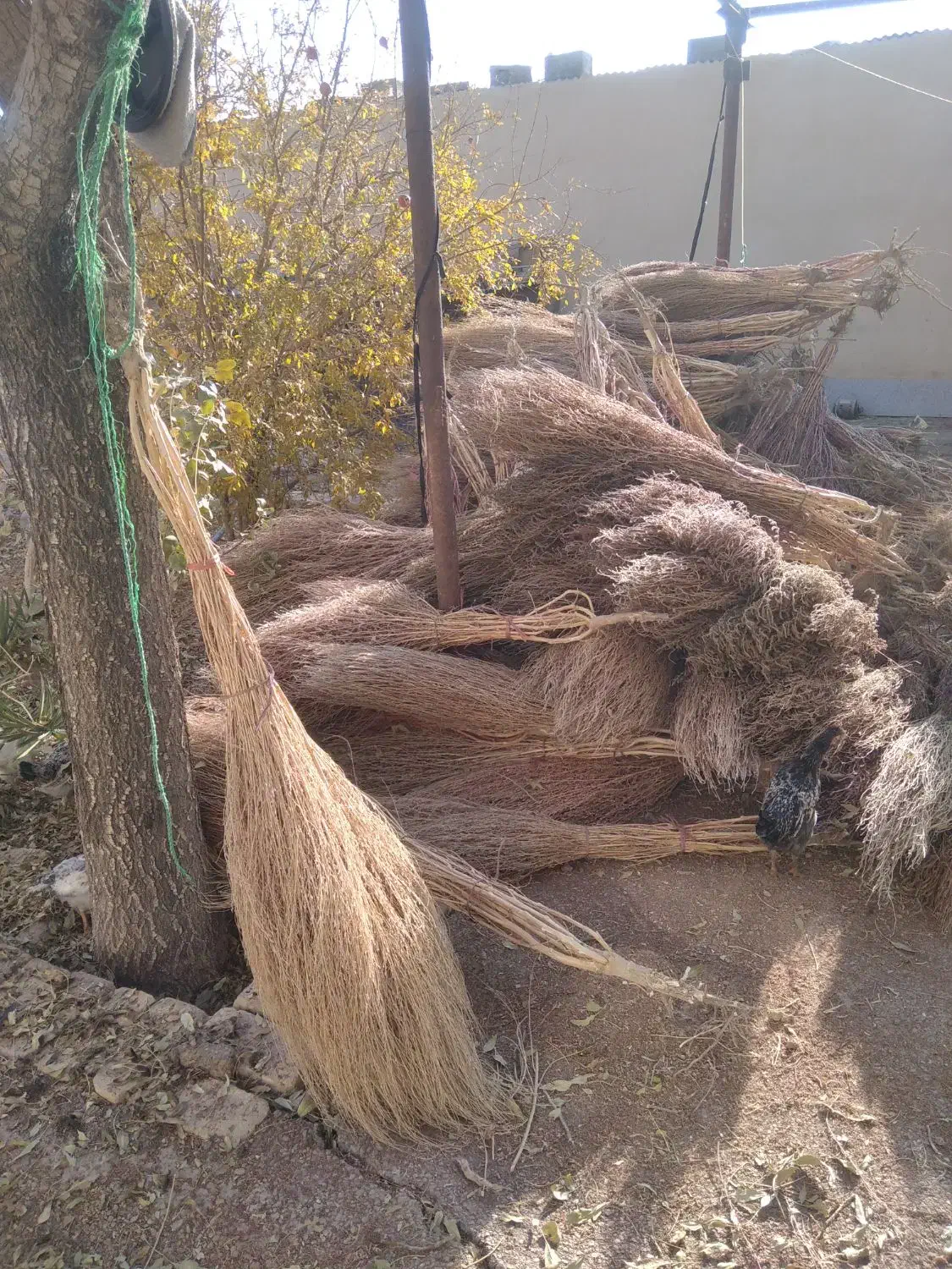 فروش جارو فراشی|عمده‌فروشی|حبیب آباد, |دیوار